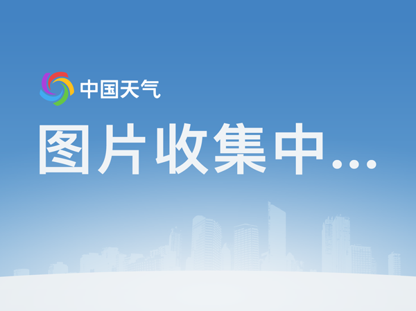 港姐朱晨丽台庆倒吊盆骨移位 可能影响生育【开云体育官网】(图1) 开云官网