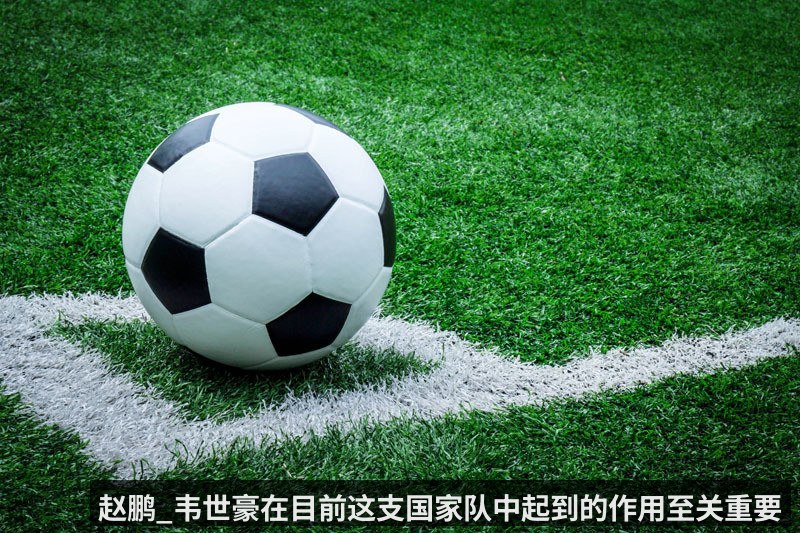 赵鹏_韦世豪在目前这支国家队中起到的作用至关重要
